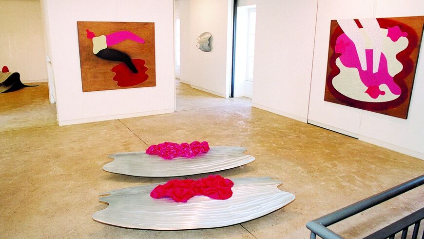 photo de l'exposition de l'artiste Richard Dussaulx