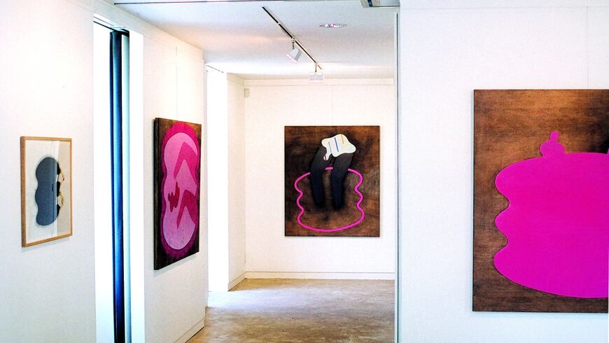 photo couleur avec des tableaux de l'artiste Richard Dussaulx