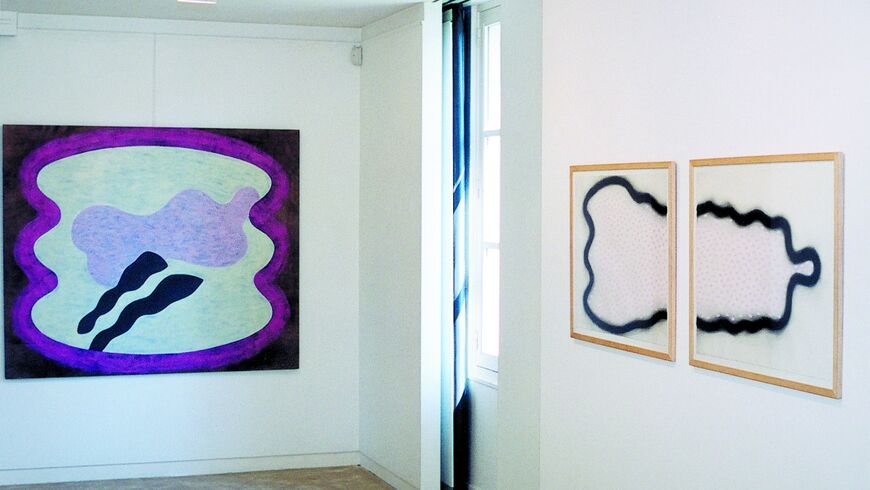 photo couleur de l'exposition de Richard Dussaulx à la maison des arts