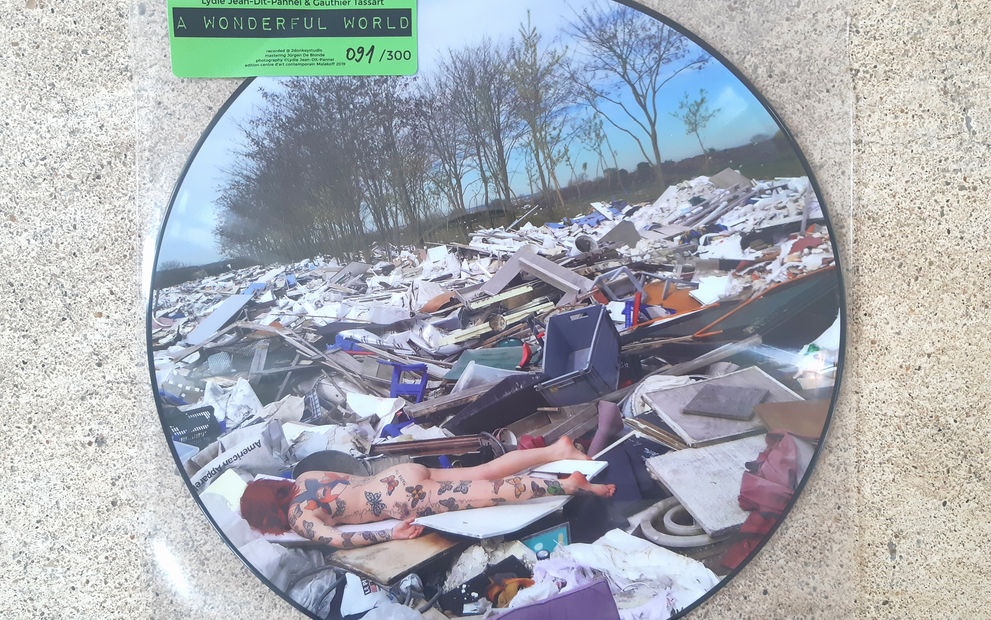 A WONDERFUL WORLD - picture disc 
