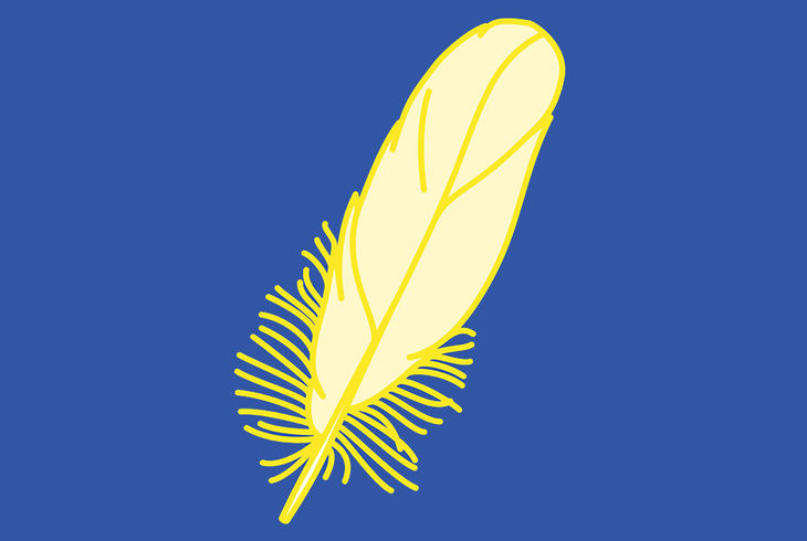 plume jaune sur fond bleu